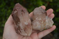 Natural Red Hematoid Quartz Specimens x 12 From Karoi, Zimbabwe - TopRock