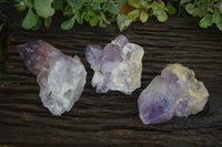 Natural Jacaranda Amethyst Clusters  x 3 From Mumbwa, Zambia - Toprock Gemstones and Minerals 