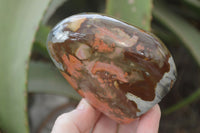 Polished Polychrome Jasper Standing Free Forms  x 6 From Madagascar