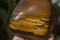 Polished Golden Tigers Eye Free Forms x 4 From Prieska, Northern Cape