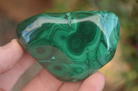 Polished Flower Banded Malachite Free Forms  x 12 From Congo - Toprock Gemstones and Minerals 