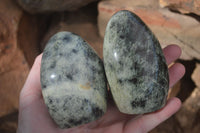 Polished Leopard Stone Standing Free Forms  x 6 From Zimbabwe - Toprock Gemstones and Minerals 