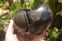 Polished Septaria Dragons Egg x 1 From Mahajanga, Madagascar - TopRock