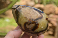 Polished Septaria Dragon's Eggs (Calcite & Aragonite) x 3 From Mahajanga, Madagascar - TopRock