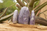 Polished Purple Lepidolite Standing Free Forms  x 3 From Madagascar - TopRock