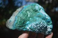 Natural Blue Malacholla (Malachite & Chrysocolla) Specimens  x 2 From Kulukuluku, Congo - Toprock Gemstones and Minerals 