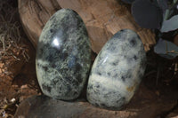 Polished Leopard Stone Standing Free Forms  x 6 From Zimbabwe - Toprock Gemstones and Minerals 