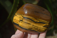 Polished Golden Tigers Eye Free Forms x 4 From Prieska, Northern Cape