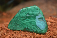 Polished Flower Banded Malachite Free Forms  x 12 From Congo - Toprock Gemstones and Minerals 