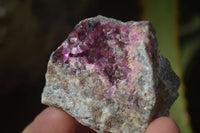 Natural Salrose Cobaltion Dolomite Specimens x 12 From Kakanda, Congo