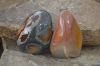 Polished Polychrome Jasper Standing Free Forms  x 6 From Madagascar