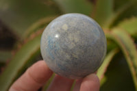 Polished Blue Spotted Spinel Quartz Spheres x 5 From Madagascar