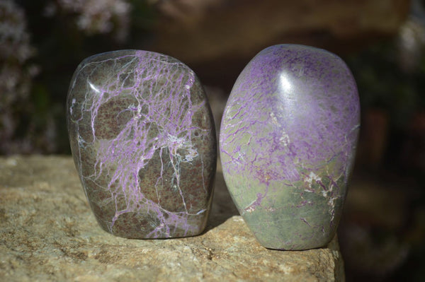 Polished Stichtite & Serpentine Standing Free Forms x 6 From Barberton, South Africa