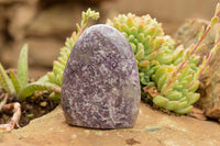 Polished Purple Lepidolite Standing Free Forms  x 3 From Madagascar - TopRock