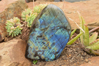 Polished Labradorite Standing Free Form With A Full Face Flash x 1 From Tulear, Madagascar - TopRock