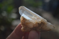 Natural Small Clear Quartz Crystal Specimens  x 35 From Madagascar