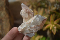 Natural Red Hematoid Quartz Specimens x 24 From Karoi, Zimbabwe