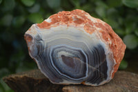 Polished Banded River Agate Nodules  x 6 From Sashe River, Zimbabwe - Toprock Gemstones and Minerals 