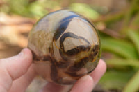 Polished Septaria Dragon's Eggs (Calcite & Aragonite) x 3 From Mahajanga, Madagascar - TopRock