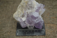 Natural Jacaranda Amethyst Clusters  x 3 From Mumbwa, Zambia - Toprock Gemstones and Minerals 