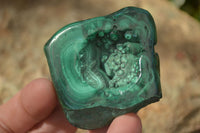 Polished Flower Banded Malachite Free Forms  x 12 From Congo - Toprock Gemstones and Minerals 