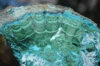 Natural Blue Malacholla (Malachite & Chrysocolla) Specimens  x 2 From Kulukuluku, Congo - Toprock Gemstones and Minerals 