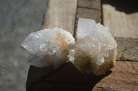 Natural White Cactus Flower Spirit Quartz Specimens  x 12 From Boekenhouthoek, South Africa - Toprock Gemstones and Minerals 