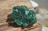 Natural Chatoyant Silky Malachite Specimens  x 6 From Kasompe, Congo - TopRock