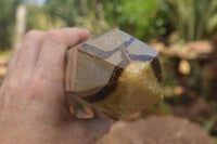 Polished Large Septaria (Yellow Calcite and Aragonite) Point x 1 From Mahajanga, Madagascar - TopRock