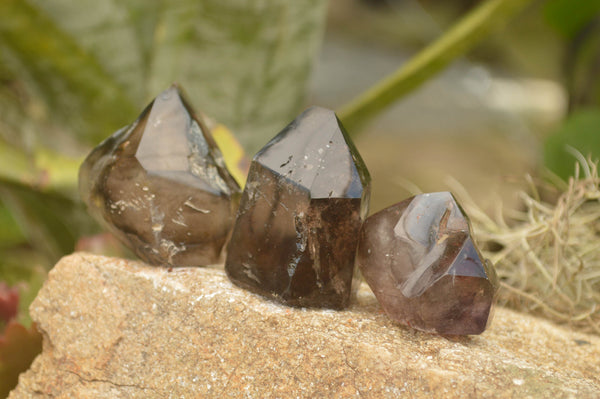 Polished Lovely Selection Of Smokey & Clear Window Quartz Crystals x 12 From Akansobe, Madagascar - TopRock