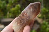 Natural Red Hematoid Phantom Quartz Crystals/Clusters x 12 From Zimbabwe - TopRock