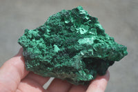 Natural Chatoyant Silky Malachite Specimens  x 6 From Kasompe, Congo - TopRock