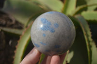 Polished Blue Spotted Spinel Quartz Spheres x 3 From Madagascar