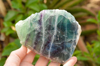 Polished Watermelon Fluorite Standing Slabs  x 2 From Uis, Namibia - TopRock