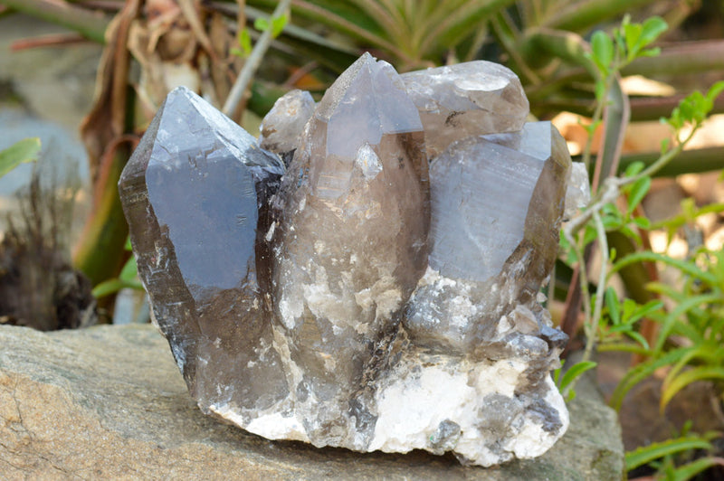 Smoky Quartz: Mineral information, data and localities.