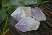 Natural Single Zambian Jacaranda Amethyst Points - Sold per 1.6 kg (24 points per tray) - From Mumbwa, Zambia - TopRock