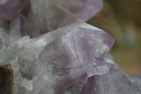 Natural Jacaranda Amethyst Cluster x 1 From Mumbwa, Zambia - TopRock