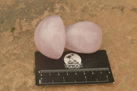 Polished Gemmy Pink Rose Quartz Mushrooms  x 6 From Madagascar - TopRock