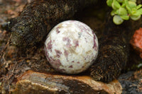 Polished Rubellite Pink Tourmaline In Matrix Spheres  x 6 From Madagascar - TopRock