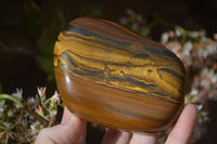 Polished Golden Tigers Eye Free Forms x 4 From Prieska, Northern Cape