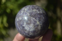 Polished Purple Lepidolite Spheres  x 4 From Madagascar - Toprock Gemstones and Minerals 