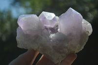 Natural Jacaranda Amethyst Clusters x 2 From Mumbwa, Zambia - TopRock