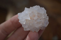 Natural White Spirit Cactus Flower Quartz Crystals x 70 From Boekenhouthoek, South Africa