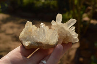 Natural Small Quartz Clusters With Long Intact Crystals  x 24 From Mandrosonoro, Madagascar - TopRock