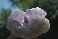 Natural Jacaranda Amethyst Clusters x 2 From Mumbwa, Zambia - TopRock