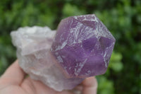 Natural Jacaranda Amethyst Clusters  x 3 From Mumbwa, Zambia - Toprock Gemstones and Minerals 