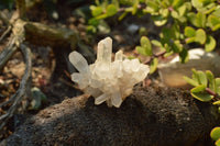 Natural Small Quartz Clusters With Long Intact Crystals  x 24 From Mandrosonoro, Madagascar - TopRock