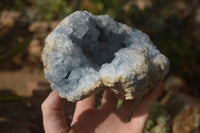 Natural Blue Celestite Geode Specimen  x 1 From Sakoany, Madagascar