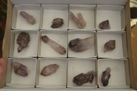 Natural Single Window Amethyst Crystals  x 12 From Chiredzi, Zimbabwe