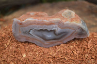 Polished Banded River Agate Nodules  x 6 From Sashe River, Zimbabwe - Toprock Gemstones and Minerals 